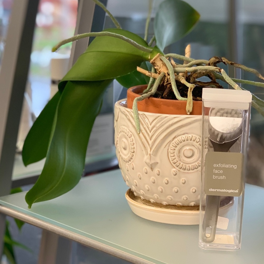 Dermalogica exfoliating face brush